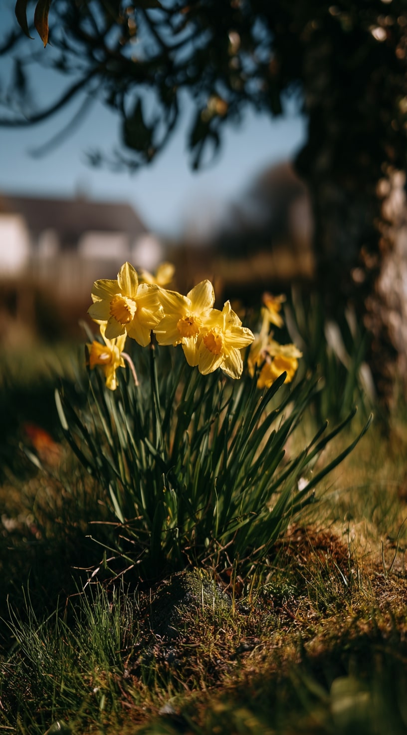 15. Seasonal Rotation Beds