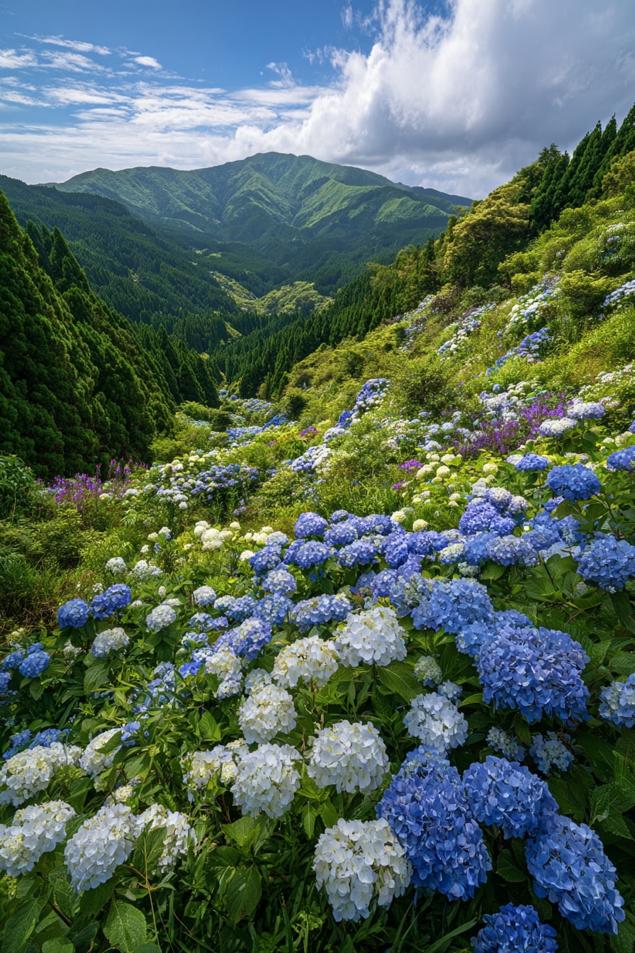 Cascading Hydrangeas Down a Slope
