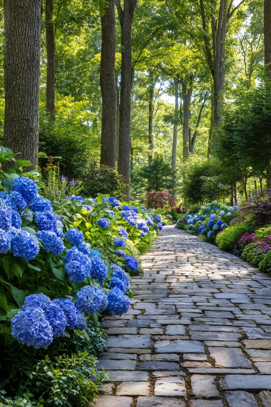 Classic Elegance with Lacecap Hydrangeas and Shade-Loving Hostas