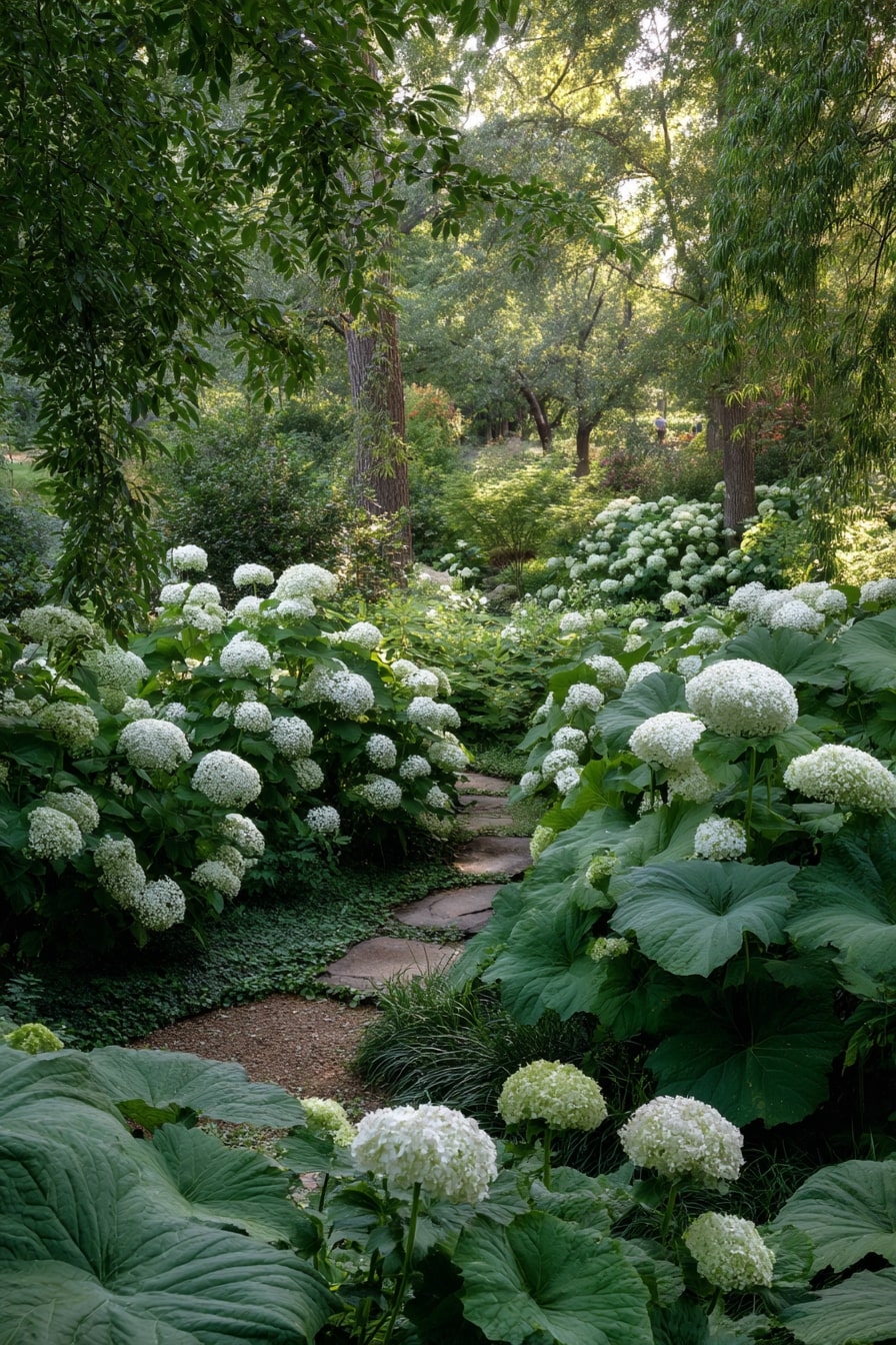 Coastal Beauty with White Hydrangeas and Compact Hostas