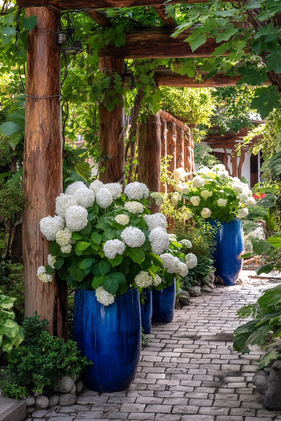 Fairytale Garden with Pink Hydrangeas and Ruffled Hostas