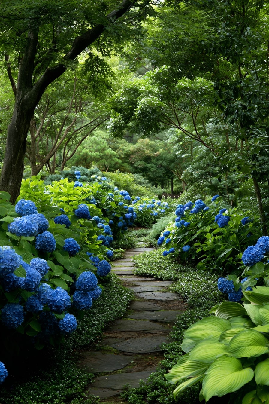 Fresh and Clean with Blue Hydrangeas and Solid-Colored Hostas
