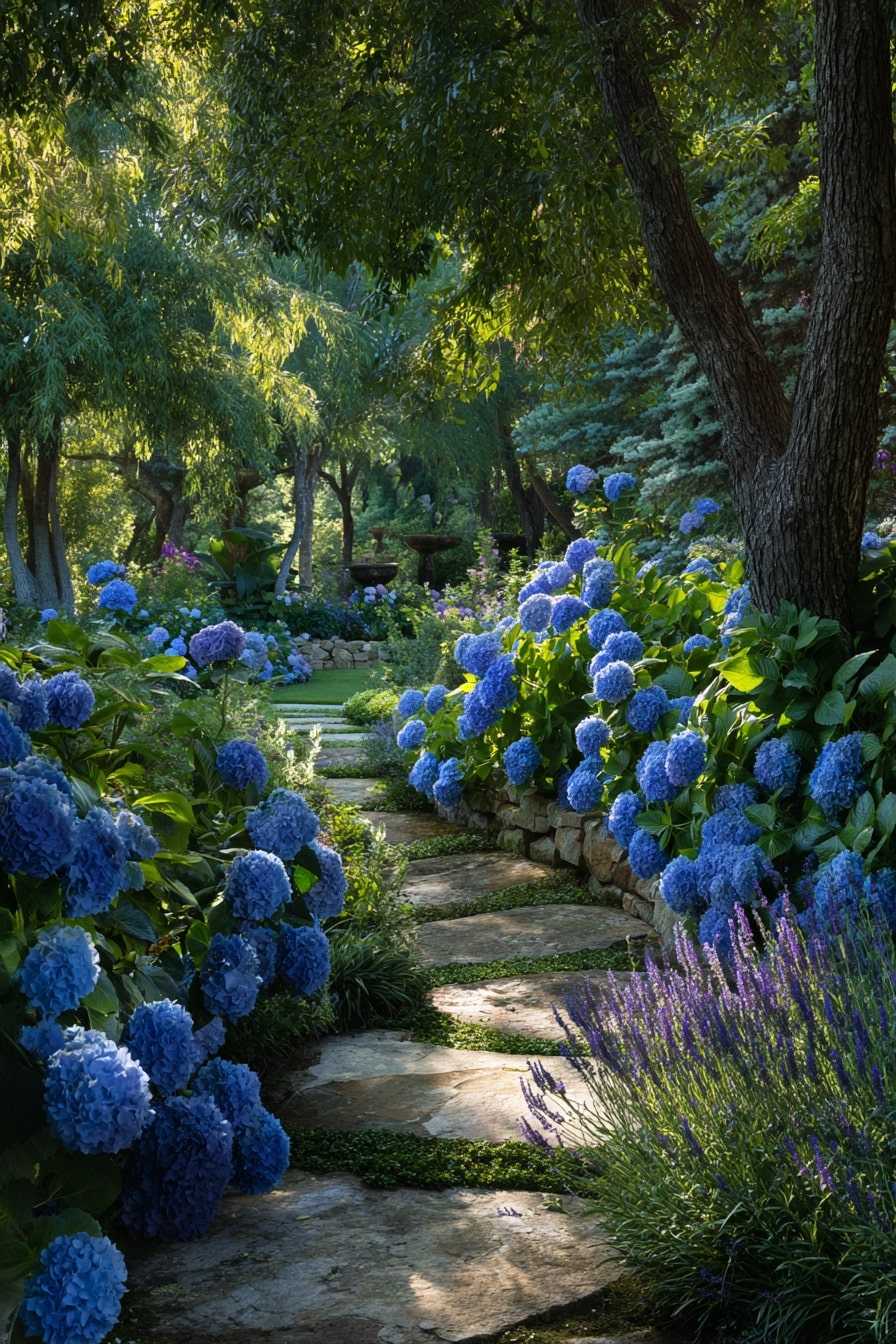 Hydrangea Border with Ornamental Grasses