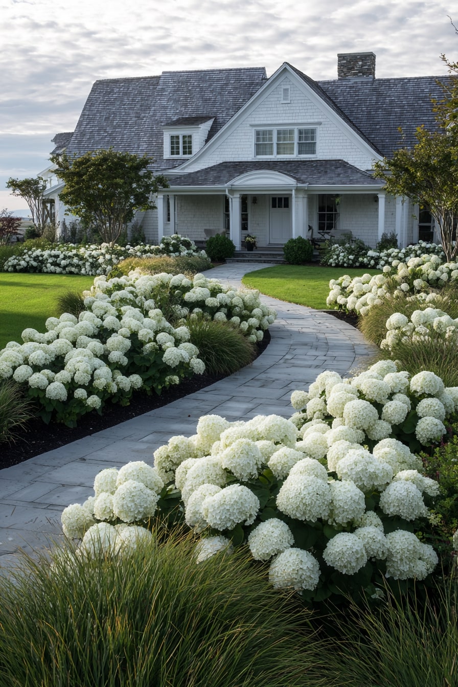 Modern Farmhouse with Panicle Hydrangeas and Giant Hostas