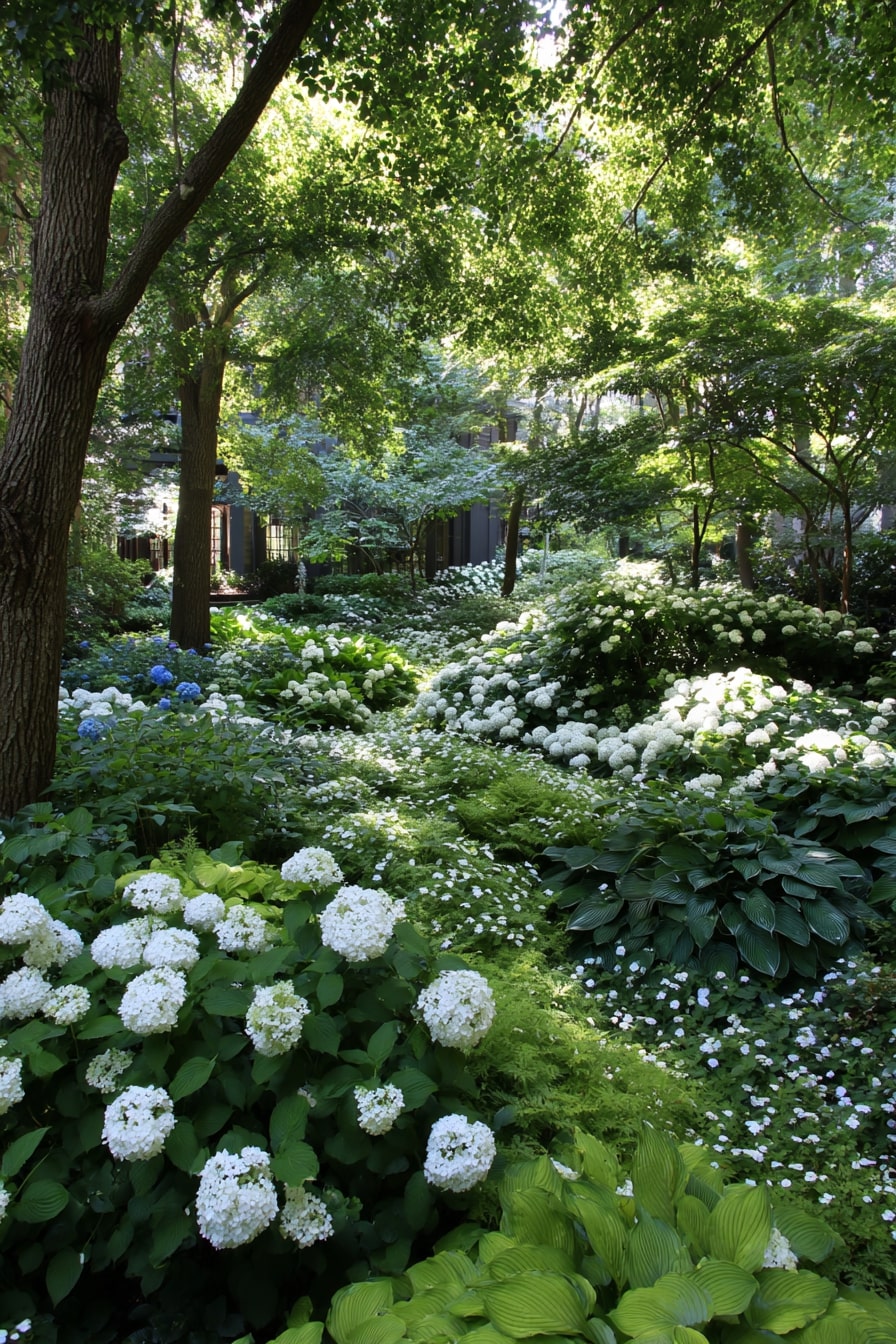 Nature-Inspired with White Hydrangeas and Variegated Hostas