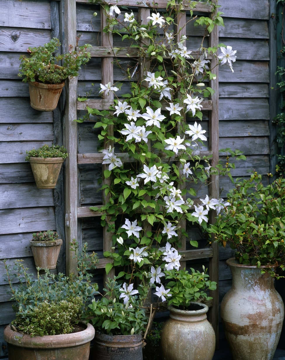Reclaimed wood trellis