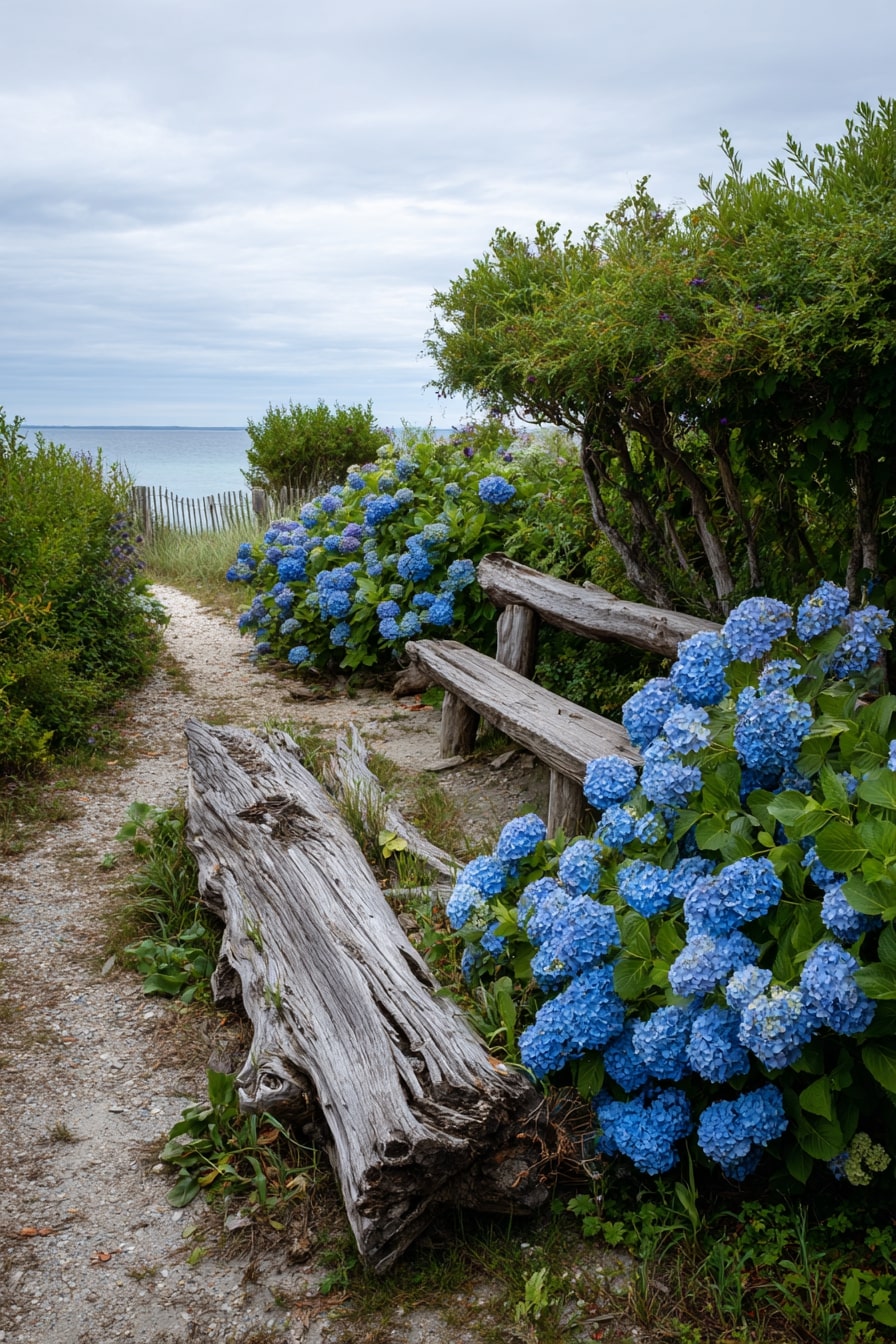 Rustic Hydrangea and Stone Pathway
