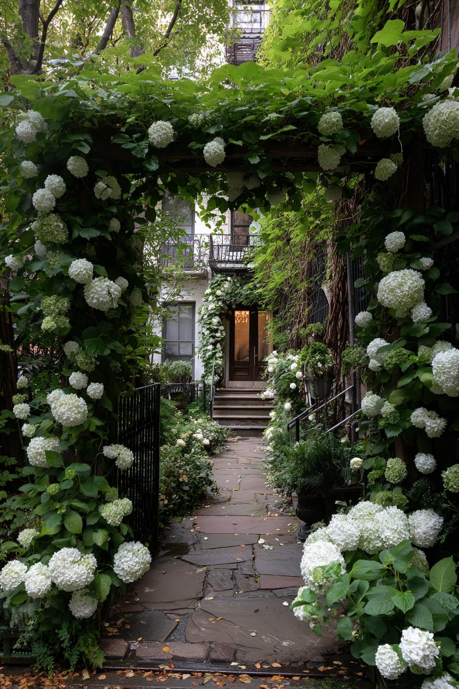 Urban Jungle with Climbing Hydrangeas and Hostas with White Blooms