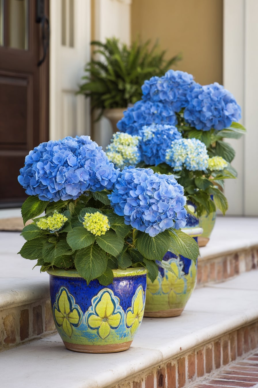 Vibrant Hydrangea Containers