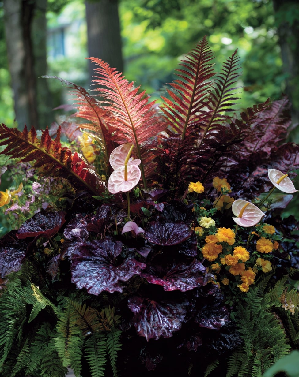 Whimsical Woodland Combine Coleus with Ferns and Moss
