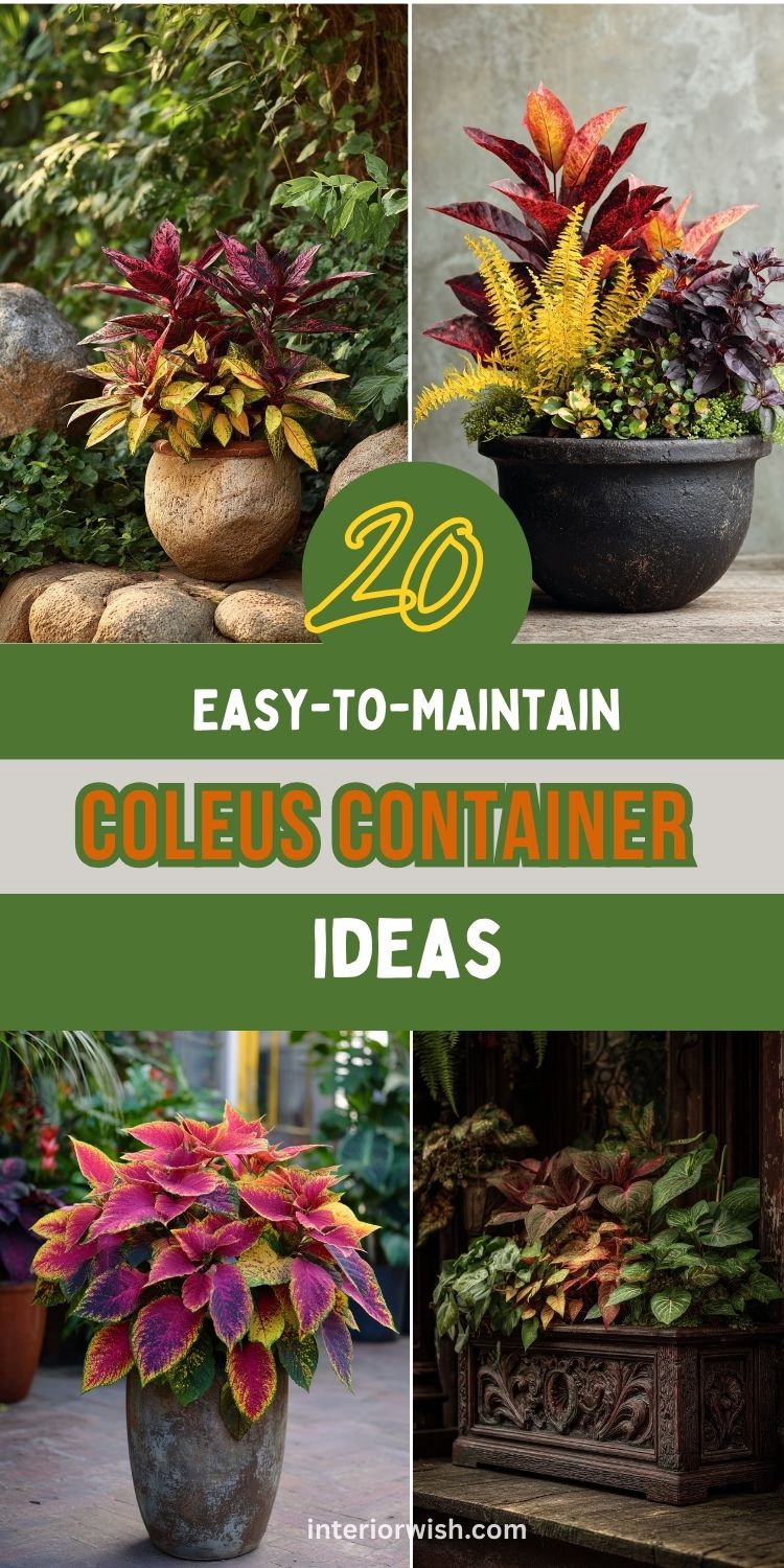 20 Easy-To-Maintain Coleus Container Designs